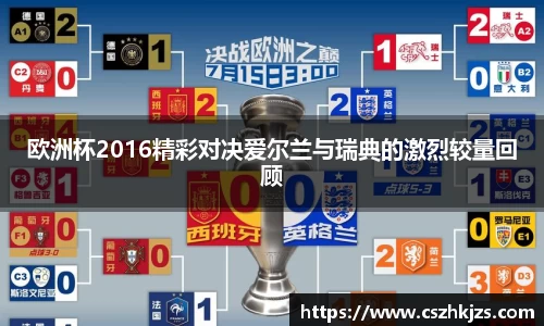 欧洲杯2016精彩对决爱尔兰与瑞典的激烈较量回顾